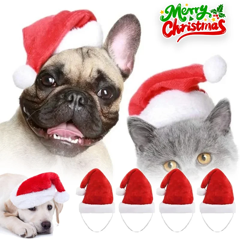 Noel Evcil Hayvan Noel Baba Şa - Santa Hat Plush incelemesi ve fiyatı