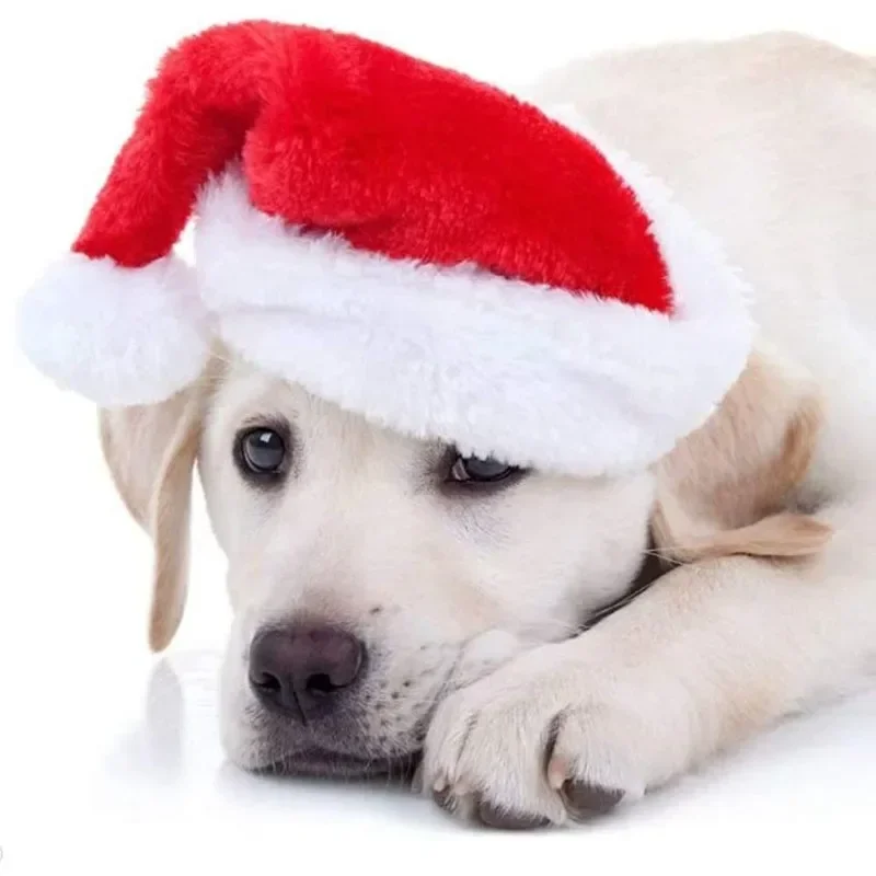 Noel Evcil Hayvan Noel Baba Şa - Santa Hat Plush incelemesi ve fiyatı