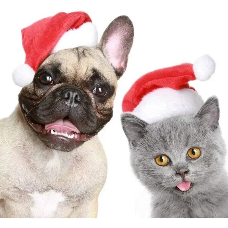 Noel Evcil Hayvan Noel Baba Şa - Santa Hat Plush incelemesi ve fiyatı